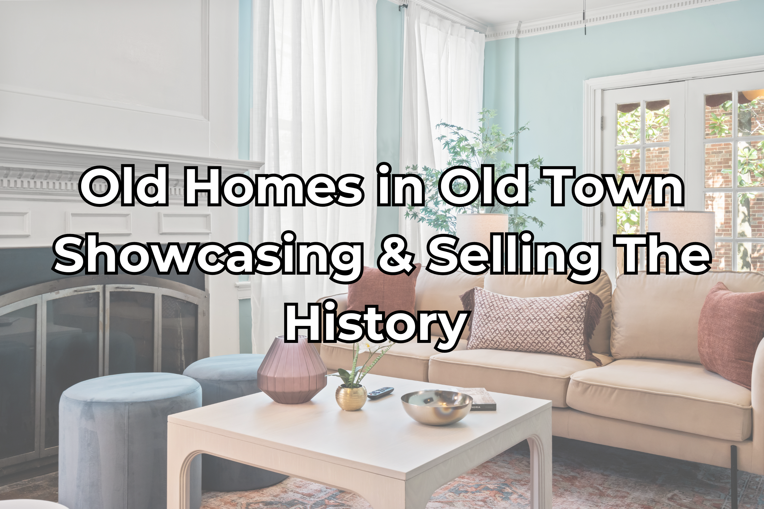old town alexandria historic home. showcase and sell.